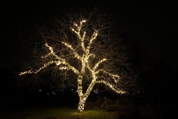 Weihnachtsbeleuchtung außen großer Baum