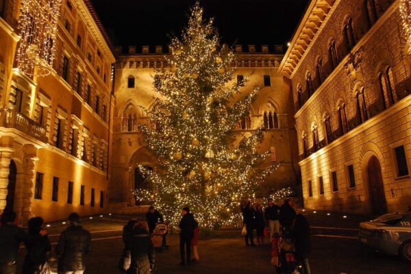 Professionelle Weihnachtsbeleuchtung außen