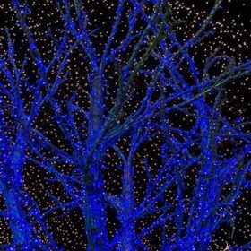 blaue Weihnachtsbeleuchtung