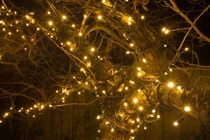 Baum mit Beleuchtung