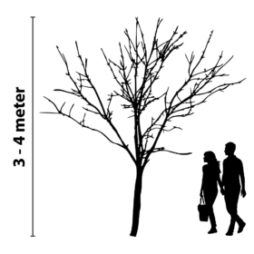 Baumbeleuchtung 3 bis 4 Meter