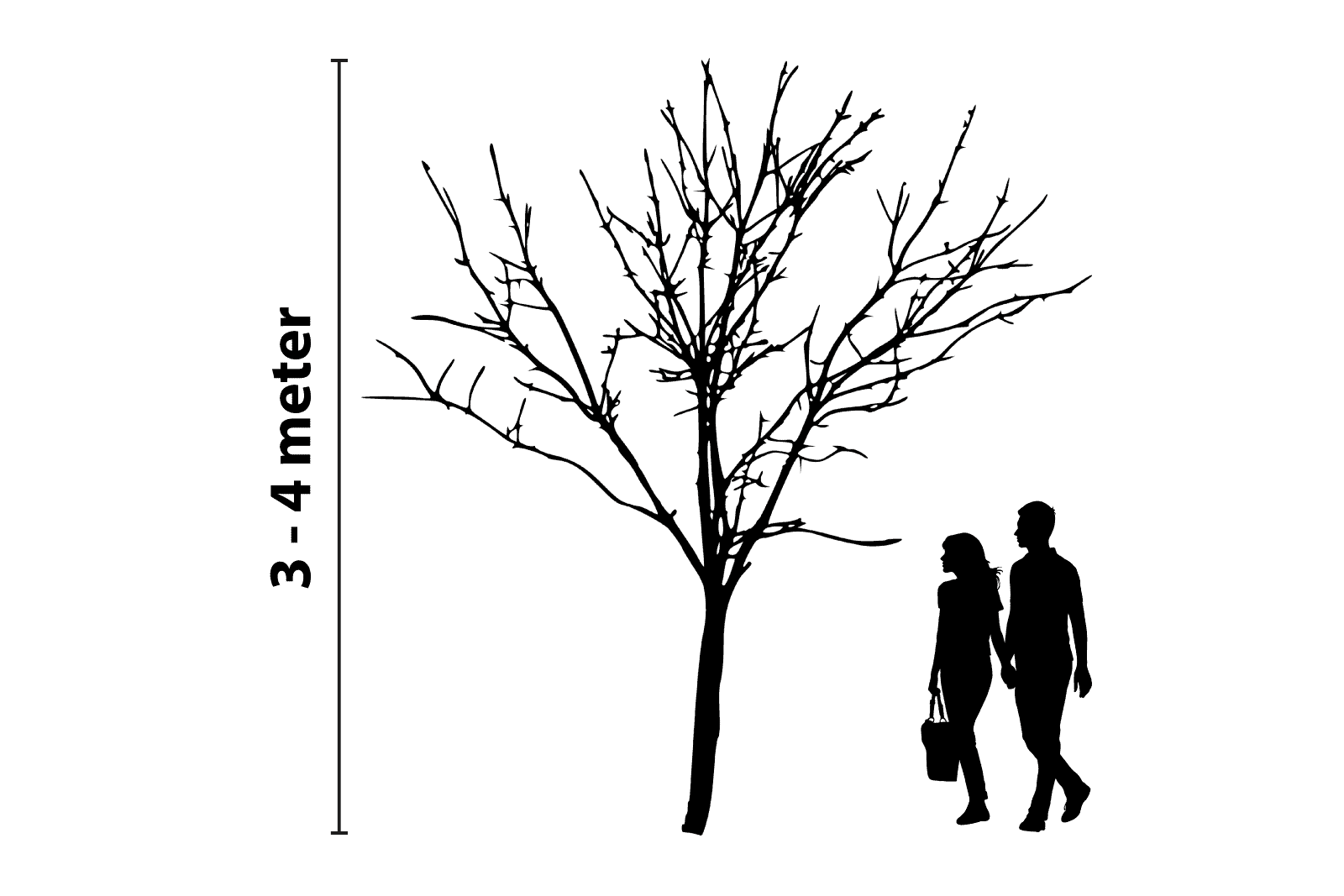 Baumbeleuchtung 3 bis 4 Meter