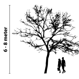 Baumbeleuchtung 6 bis 8 Meter