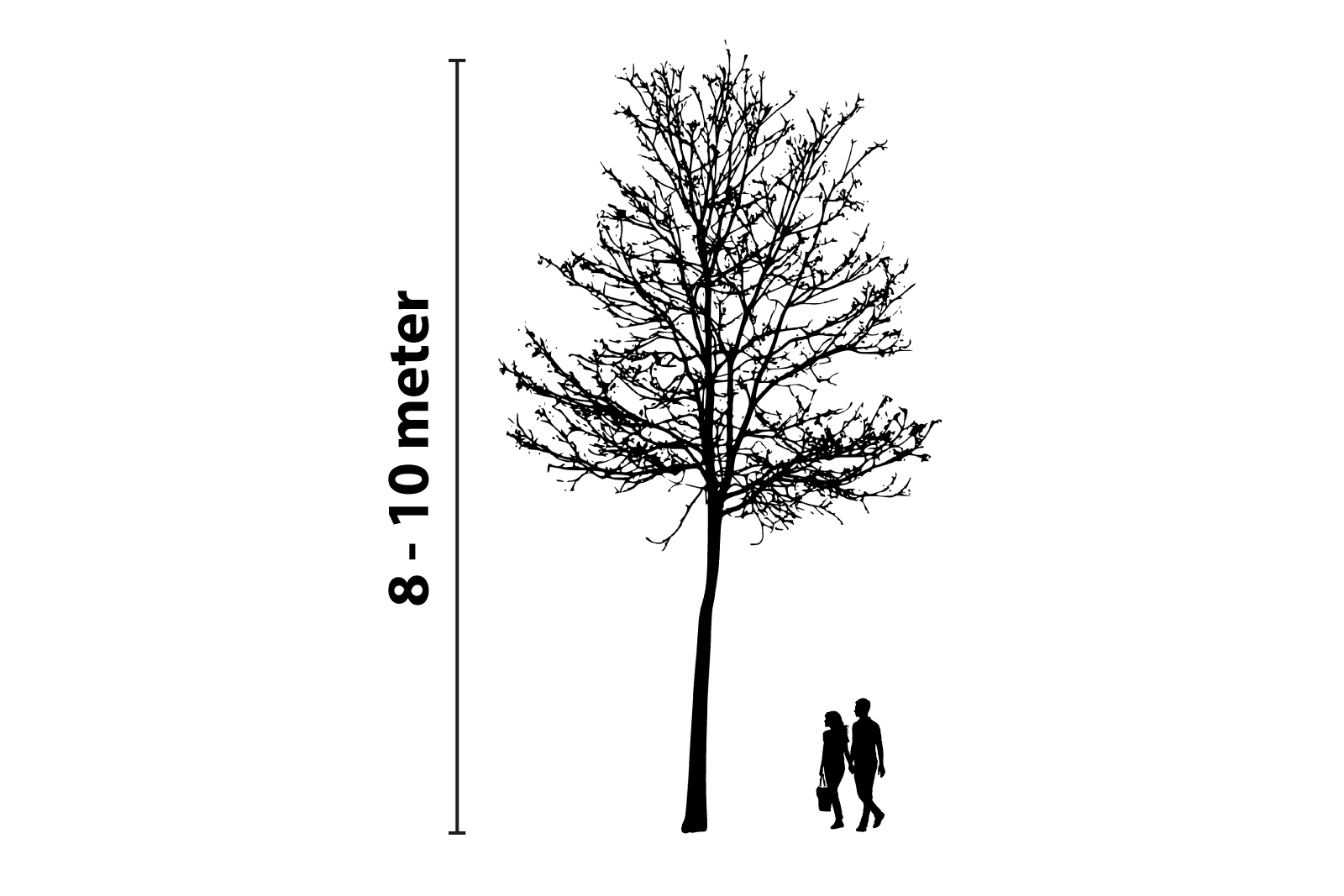 Baumbeleuchtung 8 bis 10 Meter