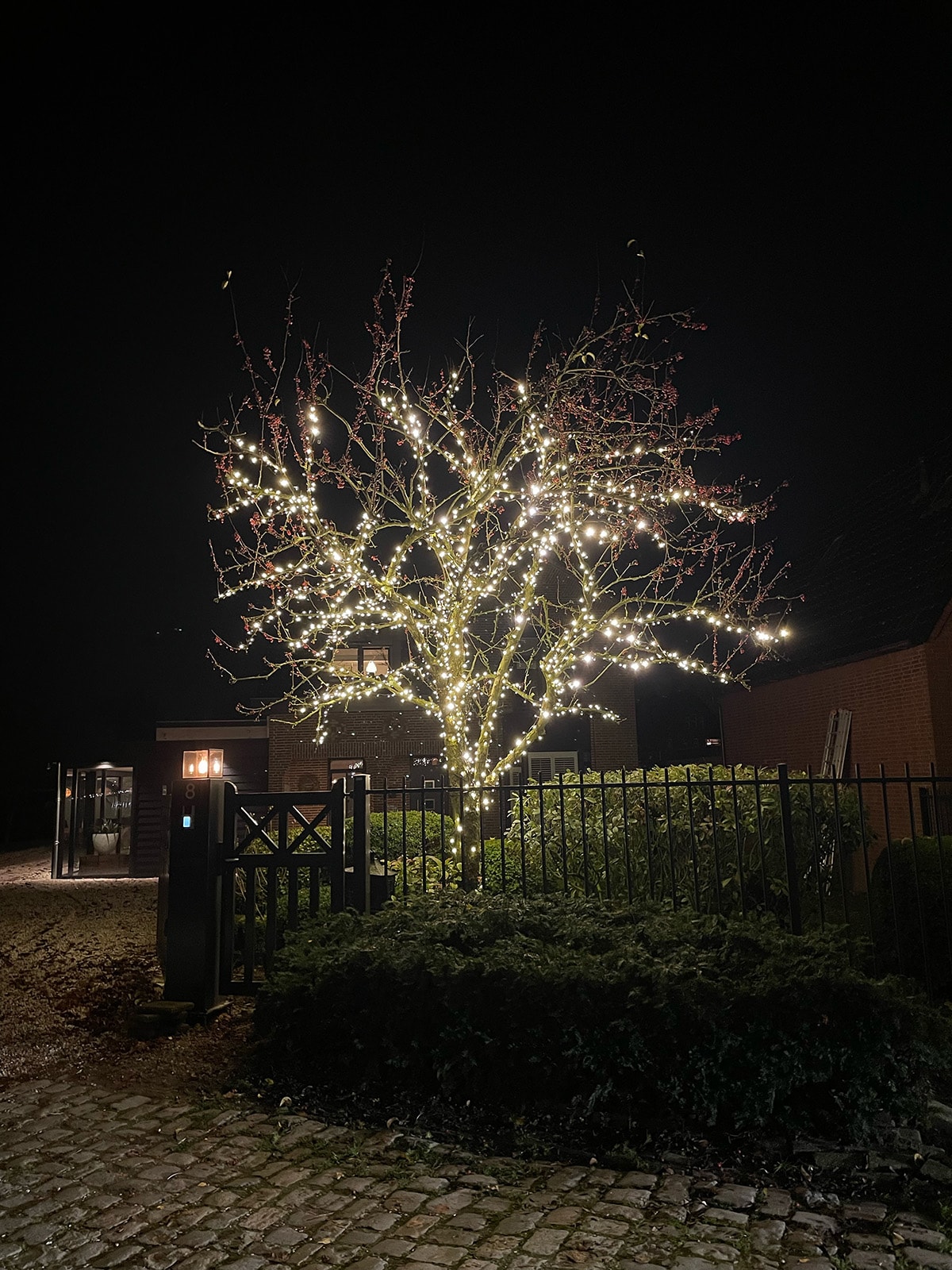 Baumbeleuchtung Für draußen