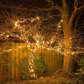 Baumbeleuchtung Weihnachten