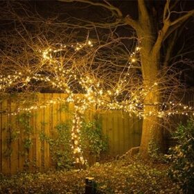 Baumbeleuchtung Weihnachten