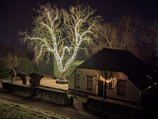 boomverlichting kerst buiten