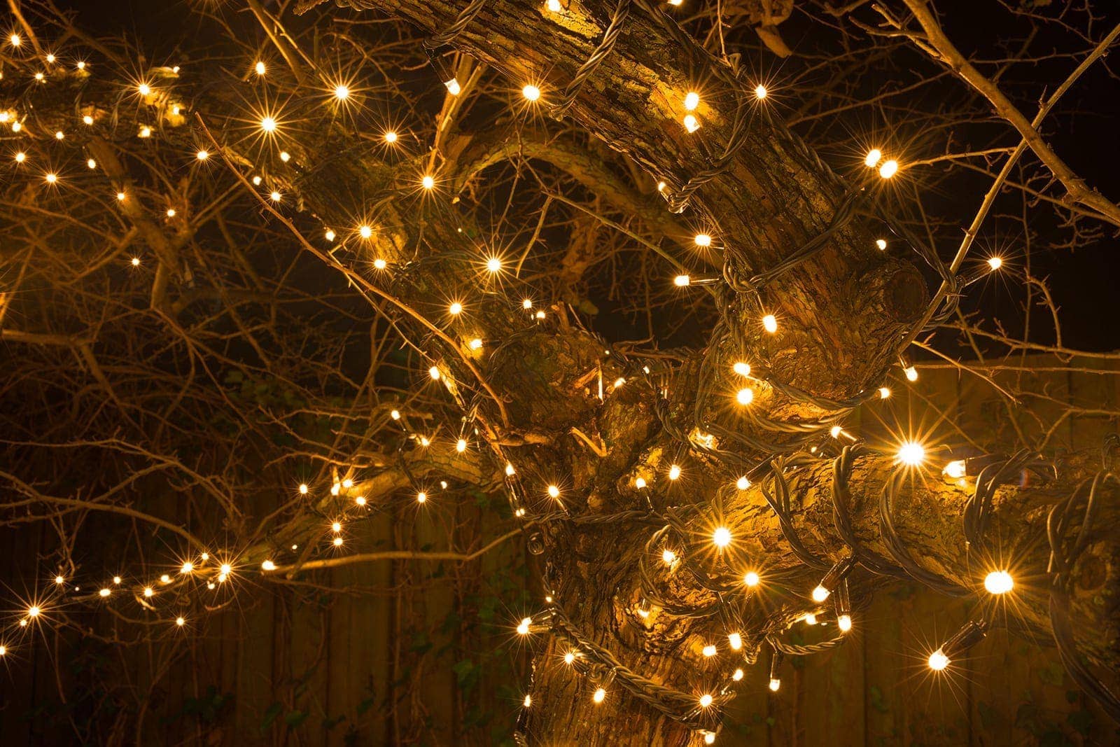 Baumbeleuchtung Weihnachten draußen