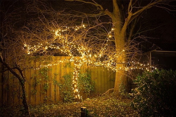 Baumbeleuchtung Weihnachten