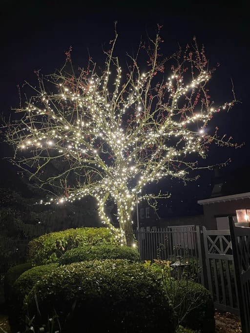 boomverlichting set koud wit