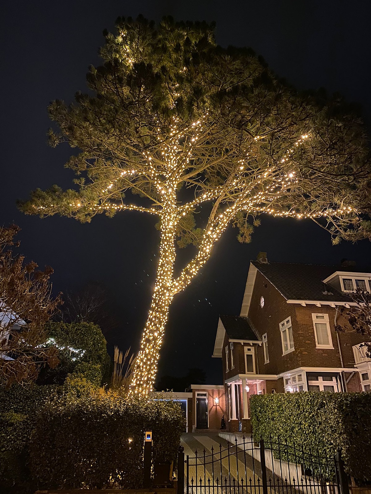 Für draußen Baumbeleuchtung