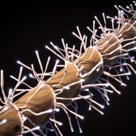 Cluster-Weihnachtsbaumbeleuchtung