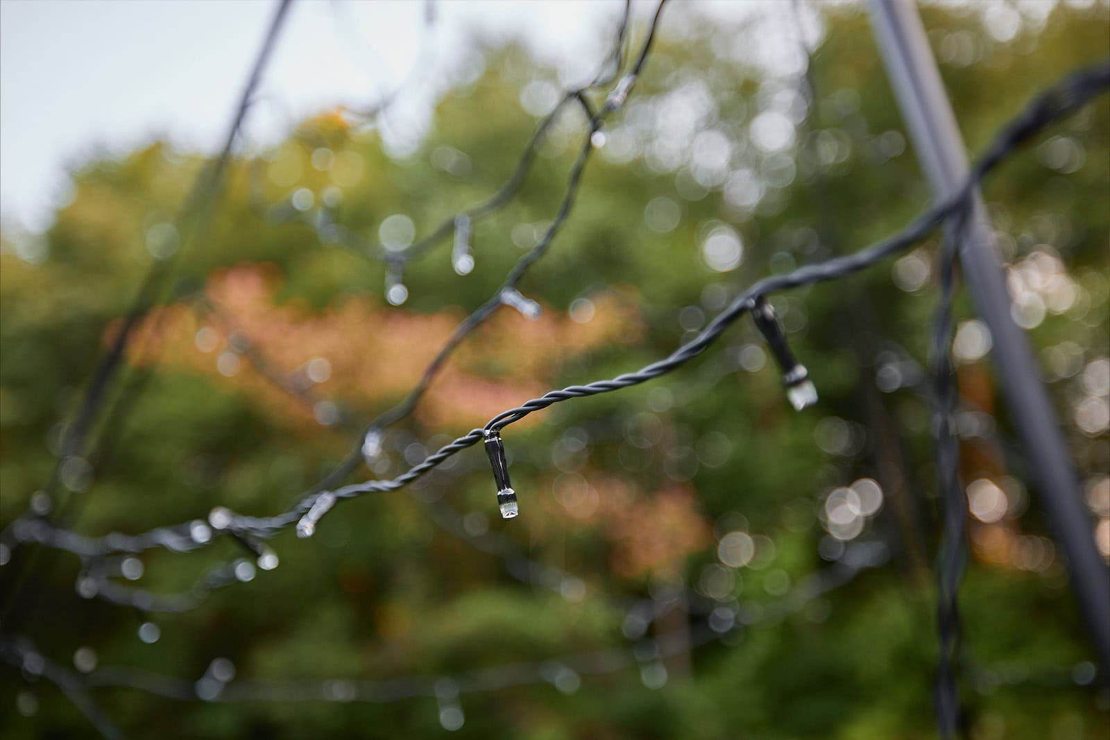 fairybell led weihnachtsbaum außen tageslicht