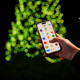 fairybell fahnenmast weihnachtsbeleuchtung smart magic demo 7