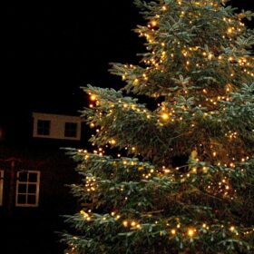 große Beleuchtung des Weihnachtsbaums