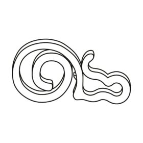 Haken Dachrinne Weihnachtsbeleuchtung