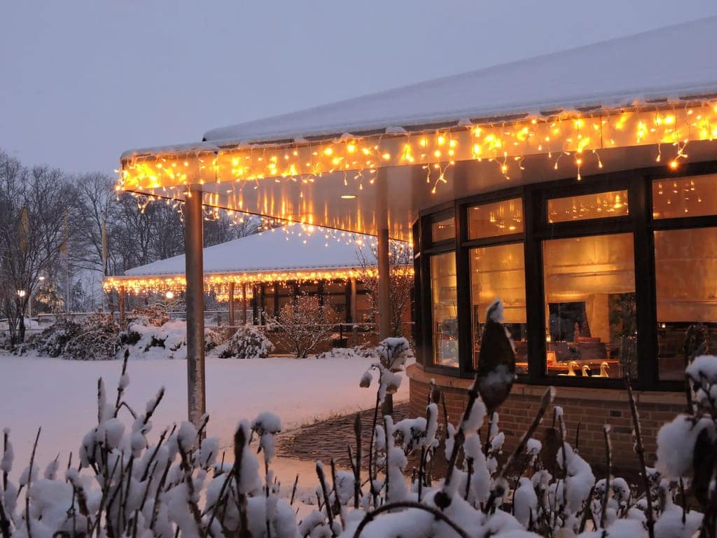 ijspegelverlichting sneeuw