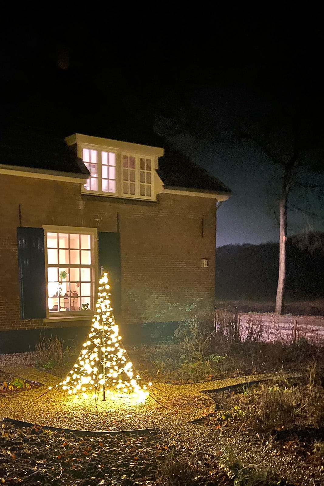 kerstboom voor buiten