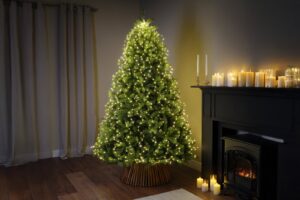 Weihnachtsbaumbeleuchtung