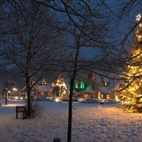 weihnachtsbaumbeleuchtung großer baum