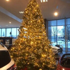 Weihnachtsbaumbeleuchtung Weihnachtsbaum