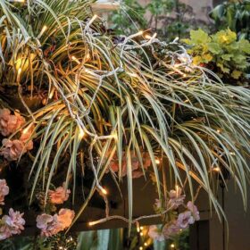 Weihnachtslicht led warmweiß