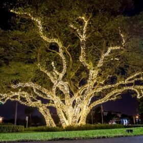 Weihnachtsbeleuchtung außen großer Baum