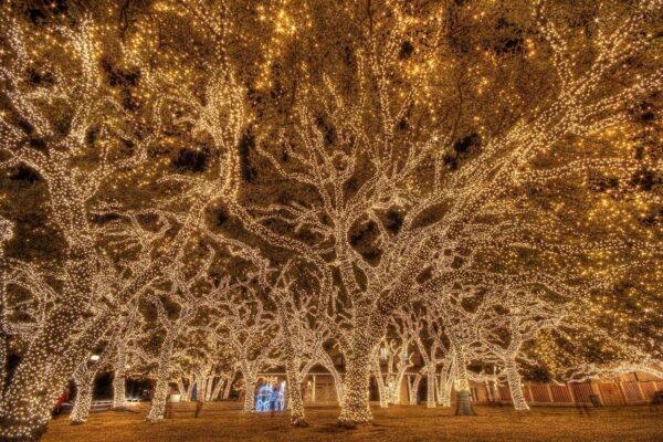 Energieverbrauch von Weihnachtsbeleuchtung