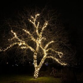 Baumbeleuchtung