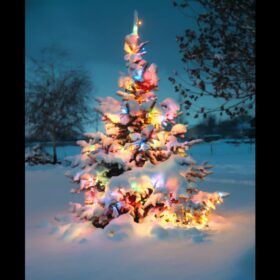 LED-Weihnachtsbeleuchtung Farbe geführt