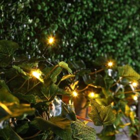 LED-Weihnachtsbeleuchtung mit 1000 Lämpchen