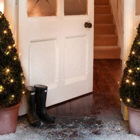 Batteriebetriebene Weihnachtsbeleuchtung Buchsbaum