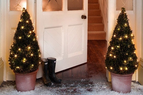 Batteriebetriebene Weihnachtsbeleuchtung Buchsbaum