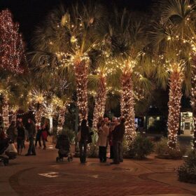 Weihnachtsbeleuchtung Palme