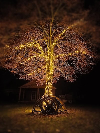 klantenfoto koppelbare boomverlichting