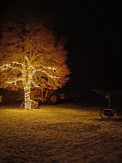 klantenfoto professionele boomverlichting