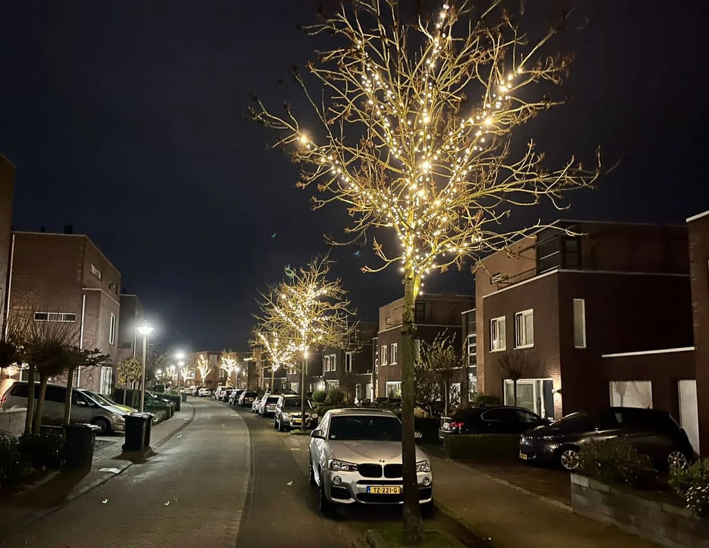 koppelbare boomverlichting straat