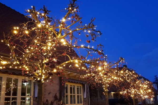 verbindbare Weihnachtsbeleuchtung außen