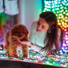 lichtvorhänge twinkly