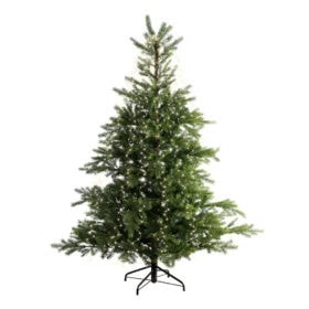 Lichtmantel Weihnachtsbaumbeleuchtung