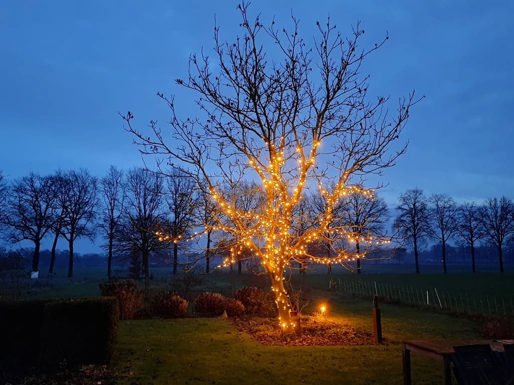 middelgrote boomverlichting set