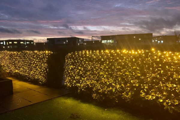 netverlichting buiten groot