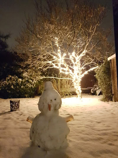 professionele boomverlichting in de sneeuw
