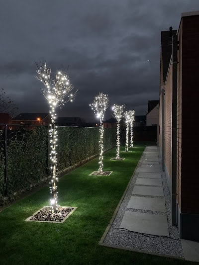 professionele boomverlichting koud wit