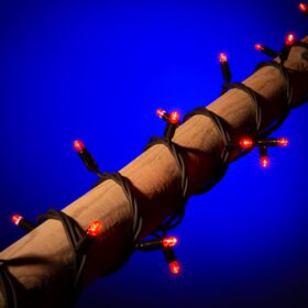 rote Weihnachtsbeleuchtung