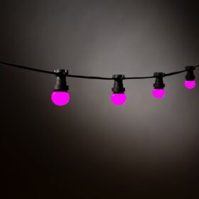 rosa LED-Lampen mit Stacheldraht