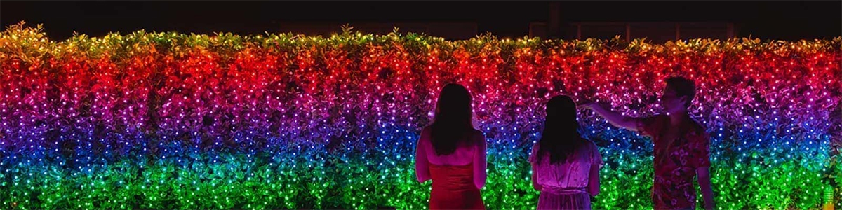 Glitzernde Weihnachtsbeleuchtung