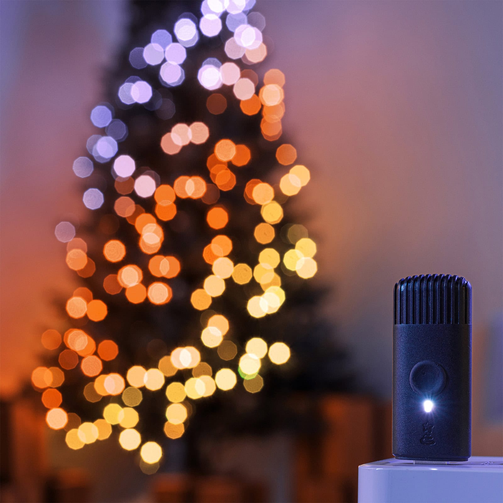 twinkly weihnachtsbeleuchtung mit musik