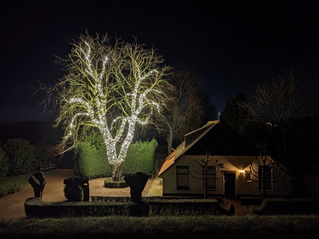 warm witte boomverlichting professioneel